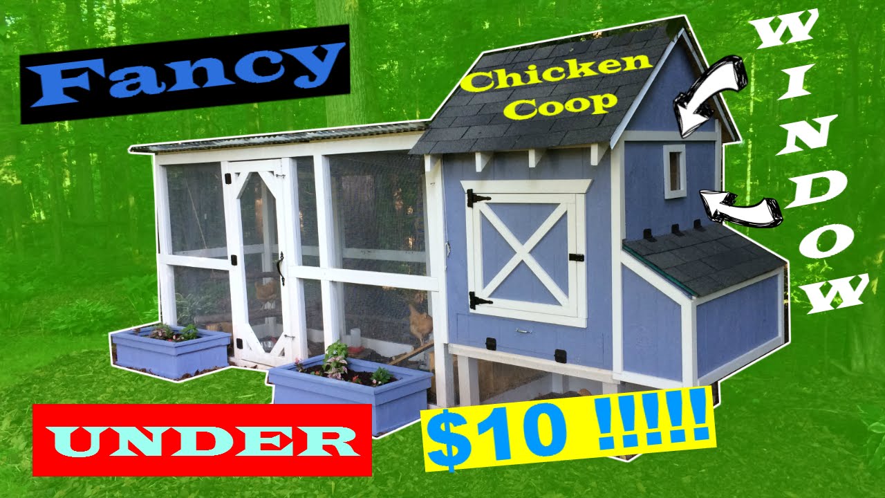 Coop Window For Under 10