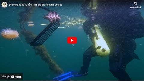 Watch SSF reportage about SMaRC: Swedish robot submarines learn to make their own decisions