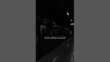 سورة الجمعة-ماهر المعيقلي #تلاوة_خاشعة #قرآن #ماهر_المعيقلي