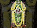 🌺  ஸ்ரீ வெங்கடேசாய நமஃ  🌺 #tirumala #tirupatibalaji #govinda #balaji #venkateswara #shorts #ytshorts