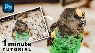 How to Remove Fence from a Background using Photoshop