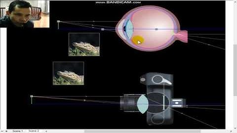 So sánh mắt người và máy ảnh