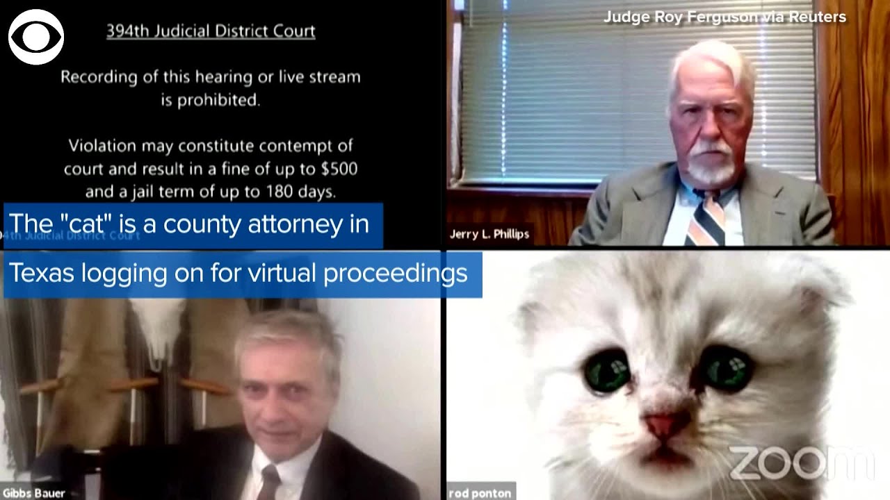 WEB EXTRA: A Lawyer's Mishap With A Filter On Zoom