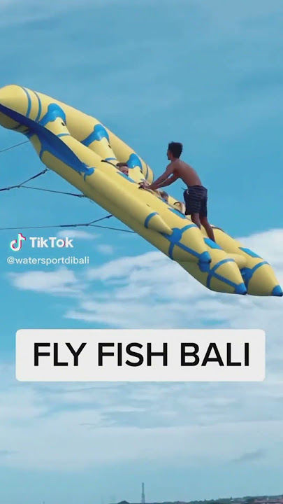 Flying fish bali