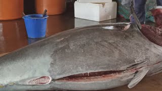 Amazing 458kg Giant Bluefin Tuna Cutting Skill
