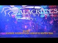 MICAELA - ALACRANES MUSICAL- EN VIVO - EN PLAZA GARIBALDI DE HOUSTON TEXAS