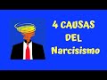 4 CAUSAS DEL NARCISISMO #Libresdelnarcisista