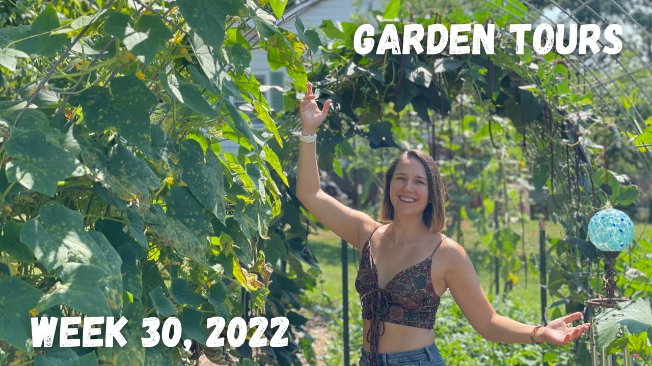 Braving the SC heat for the garden | Garden Tour WEEK 30, 2022