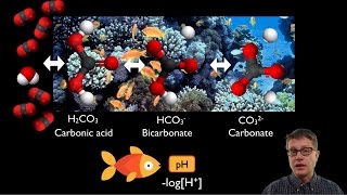 Ocean Acidification