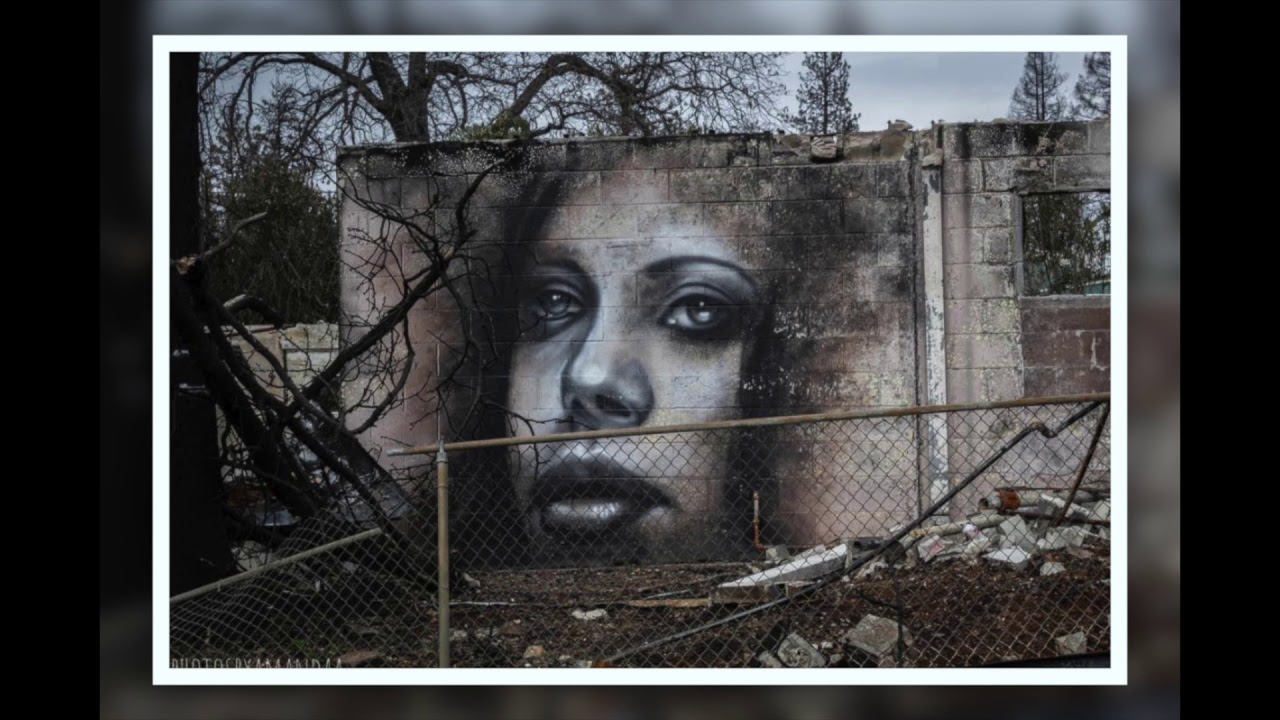 ART FROM ASHES - CampFire Murals by SHANE GRAMMER