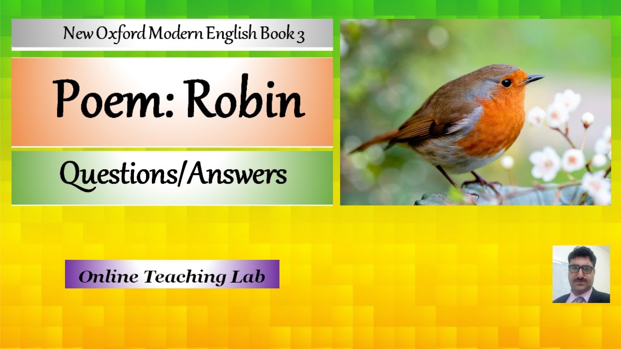 robin bird essay in english