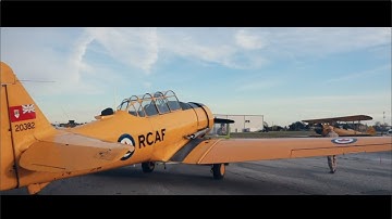 The Bishop Boys - Gin & Tonic (Official Music Video)