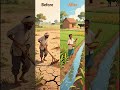 “ખેડૂતની સફળતા કથા | Agriculture Success Story”