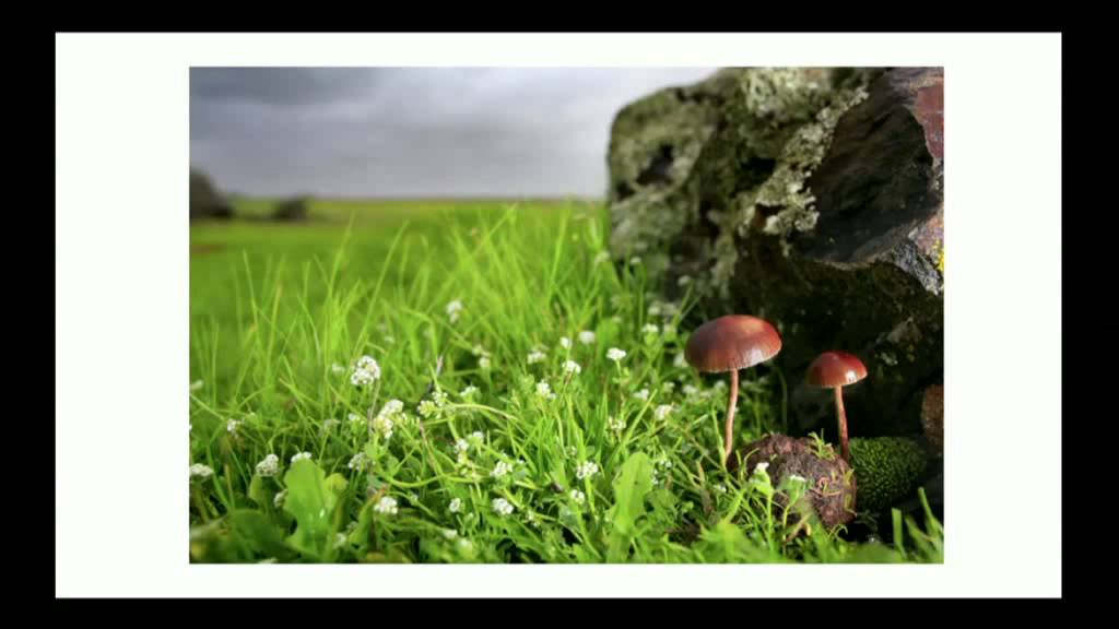 Curso Un año de fotografía. Sesión 5: Entender la luz. Cualidades de la luz