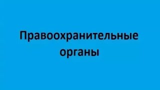 Правоохранительные органы. Лекция 1