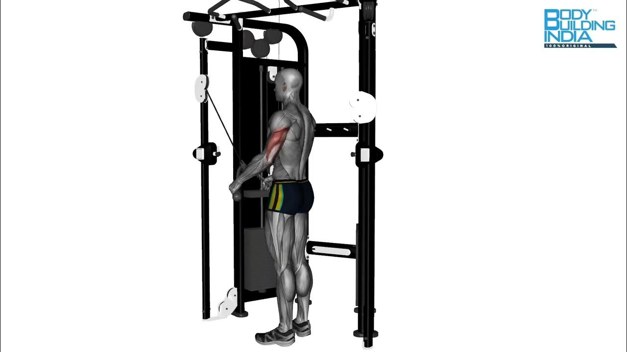 Triceps Workout Exercise 35 Triceps Rope Extension Bodybuilding