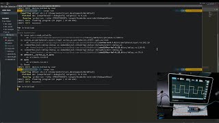 Embedded Rust: PWM signal and servo control from a Cortex M0