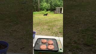 Cooking on the new butane grill - Off grid Maine #burgers #summer #doglife #grill