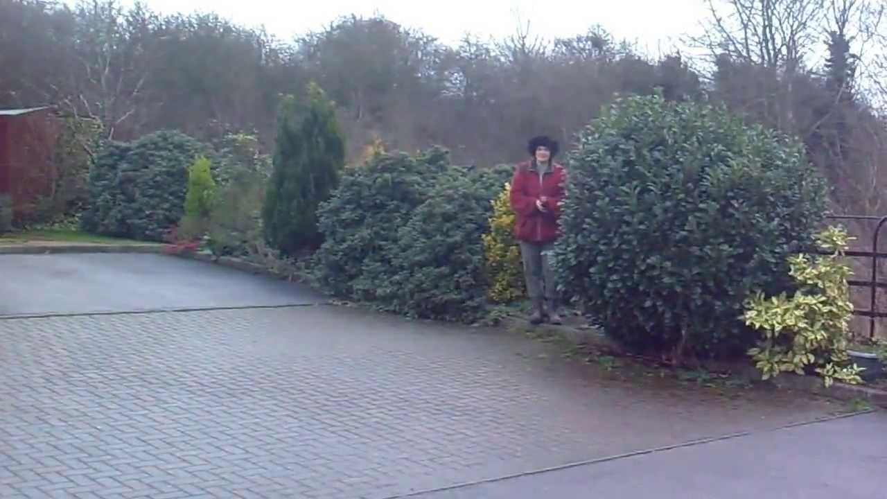 Billington Park Community orchard (Astral Park), Leighton Buzzard. YouTube