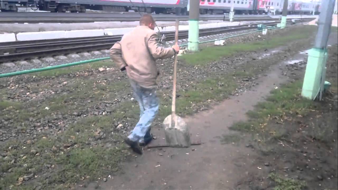 Насрал в машине