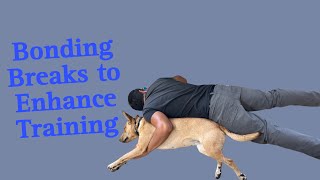Bonding in between reps. Dog Training Breaks