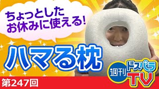 見た目はまるでAm●ng Us?ハマる枕をご紹介【週刊ドスパラTV 第247回 7月15日放送】