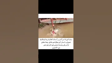 سمك البيرانا من اشرس اسماك العالم ياكل حتى العضم يطحنه 