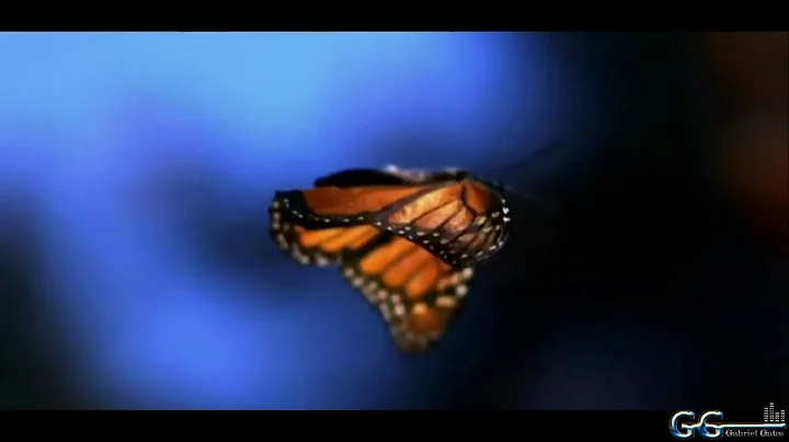 Gabriel Gates - Metamorphosis