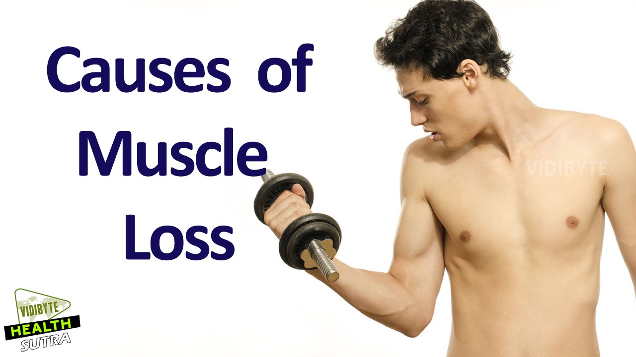 What Causes Muscle Loss || Health Tips 
