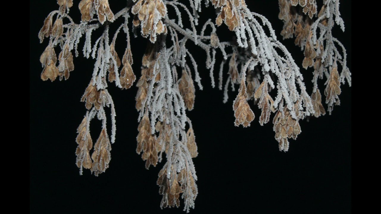 It Won't Be Long - Beatles Cover