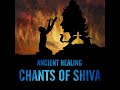Chants of shiva  for healing and destroying the enemy within  hemanth gundubogula