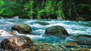 SOOTHING STREAM SOUNDS FOR RELAXATION, STUDY & SLEEP , CALMING NATURE ASMR LIVE