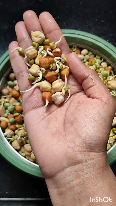 7M Views🥳🎉🎊முளைகட்டிய பயறு|How to make Sprouts Perfectly #sprouts