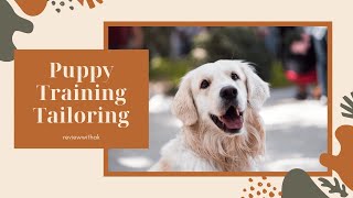 Puppy Training Tailoring Techniques 🐶FREE PDF📕 IN BIO by Animals Graph 11 views 1 month ago 2 minutes, 25 seconds