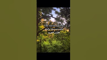𝒯𝒽𝑒 𝓋𝑒𝓇𝓈𝓊𝓈 𝑜𝒻 𝓉𝒽𝑒 𝒽𝑜𝓁𝓎 𝒬𝓊𝓇𝒶𝓃 آيات القرآن الكريم