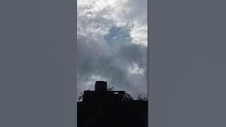 SP BLACK SUPER ORIGINAL