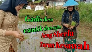 Suasana Pagi Di Perkdanungan Gadis Desa Turun Kesawah