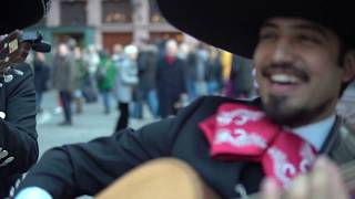 Mariachi Dos Aguilas  - Live in Frankfurt, Germany