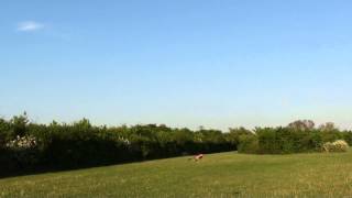 Beam 450SE 3D