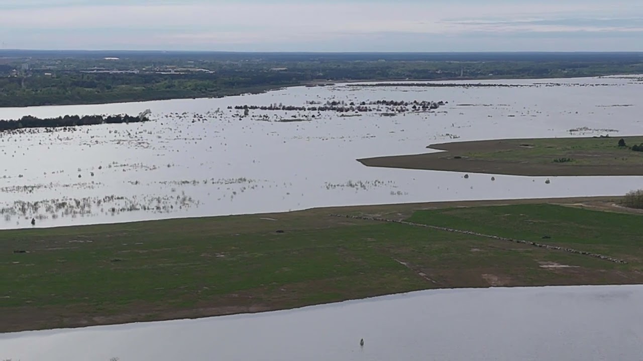 Cottbuser Ostsee Südufer Wasserstandskontrolle von Haff bis Aussichtspunkt Süd.