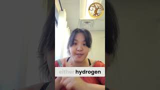 The SIBO Breath Test Explained: Hydrogen, Methane, Hydrogen Sulfide, and Why All Three Matter