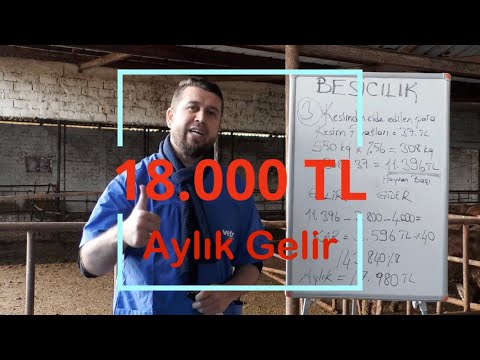 Video: Hayvancılığı nasıl geliştirebiliriz?