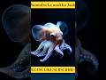 Samudra ka anokha Jaab #shorts #viral #education