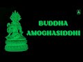 The short story of amoghasiddhi