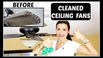 How to Clean Dusty Ceiling Fan / Real Life Mess