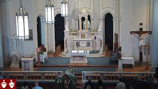 Eleventh Sunday in Ordinary Time