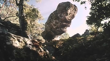 Pola X Leos Carax Trailer/Zwiastun 1