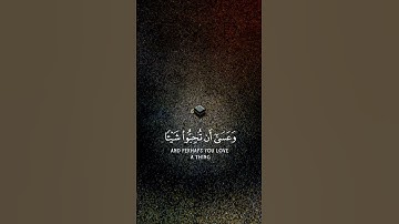 سورة البقرة..محمد هشام