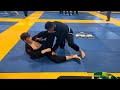 Blue Belt Finals Fuji BJJ