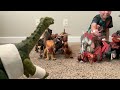 Jurassic World Rebirth Dinosaur Color Sort SPECIAL Dominion TOYS Mini Distortus Rex DREX Dino Battle